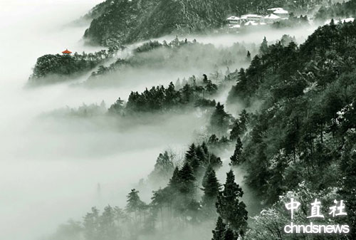 美不胜收！盘点全球最迷人的原野之地