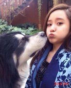  中国足坛的美女老总们 