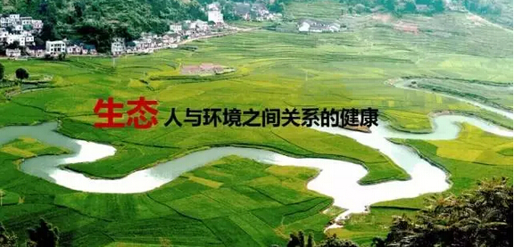 直销专业网,道和集团,蒋冬,生态,健康,中脉