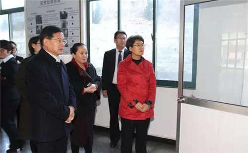 威海市政府副市长张波一行莅临安然公司考察
