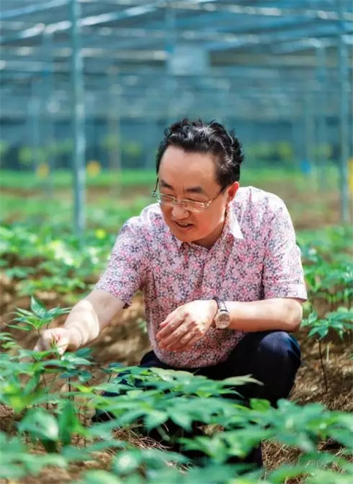 焦家良委员十年履职路：倾听民意，反映民生