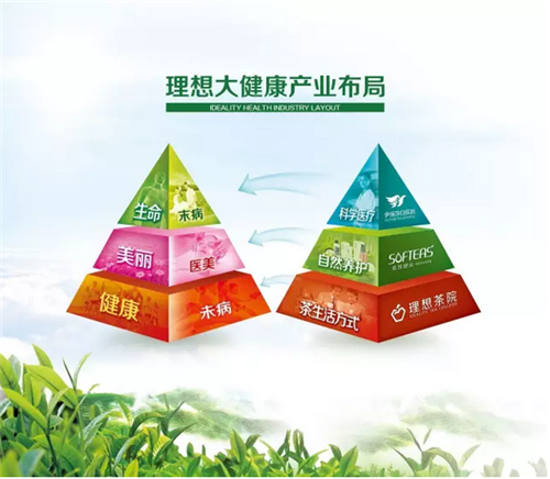 理想科技：“一米宽，千米深”  把药、酒、茶做到极致