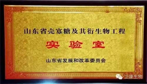 卫康董事长王宗继匠心营造 再获多项殊荣
