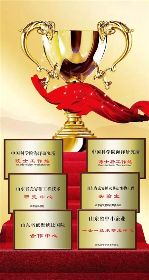 汲“一带一路”中国智慧，促卫康如此发展
