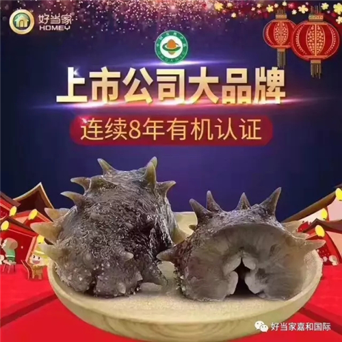 好当家大健康招商会议遇上了海参捕捞，热闹了！