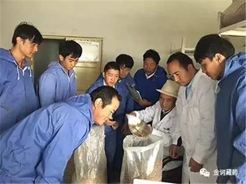 金诃藏药向尼玛教授荣膺国医大师祝贺并赠匾