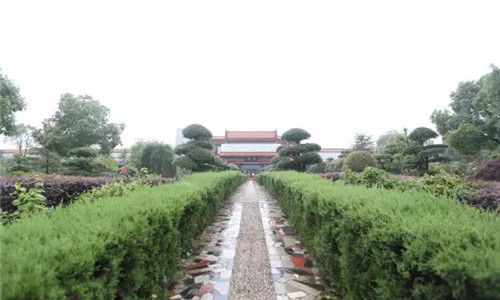日产40万贴太阳灸的生产基地居然是这样的