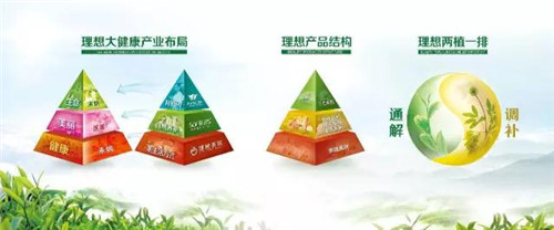 厚积薄发，进取五载——理想五年的坚守与革新