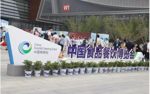 绿之韵董事长胡国安出席中国食品餐饮博览会