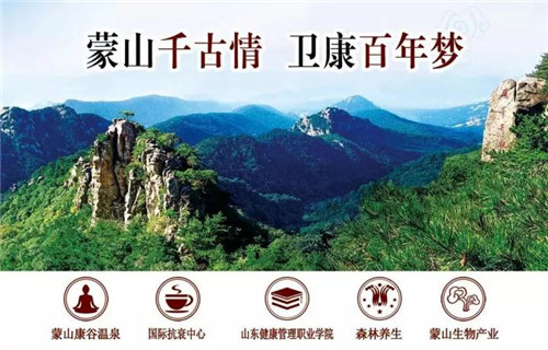助力“健康临沂” 卫康智慧先行