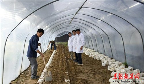 康美来董事长余春富视察大别山灵芝基地