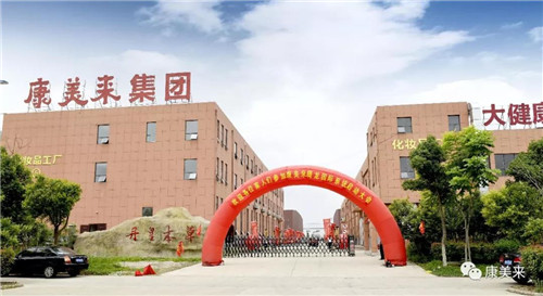 康美来腾龙国际系统市场启动大会隆重召开