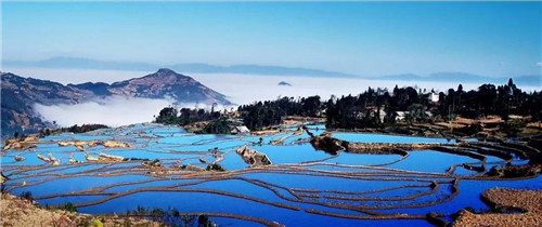 龙润集团助力云南元阳脱贫攻坚走新路