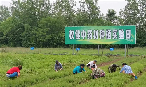 权健荣获”可持续发展示范企业奖” 