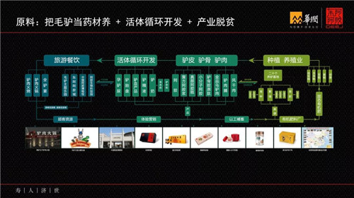 东阿阿胶秦玉峰：定位——企业战略核心