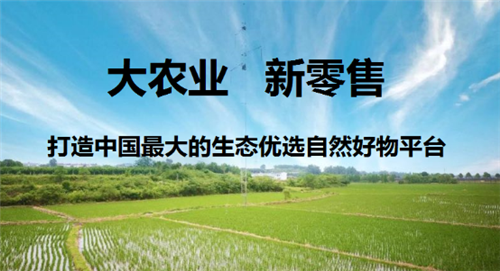 湖北省荆门市委副书记、市长孙兵带队到彭墩集团进行调研