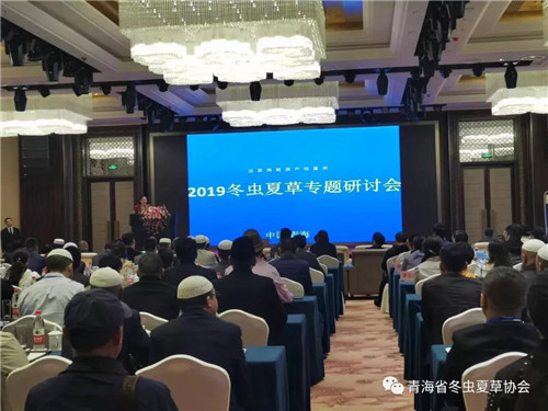 金诃藏药：2019年青海省冬虫夏草专题研讨会在西宁召开