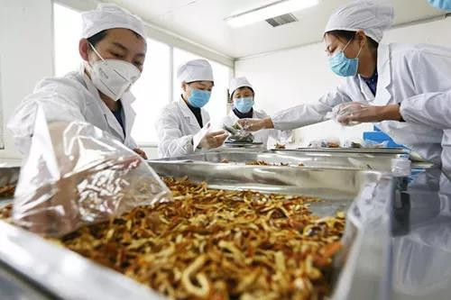 金木集团捐赠200万物资驰援武汉