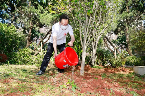 播种理想，收获成果！第六届“理想种树日”圆满举行