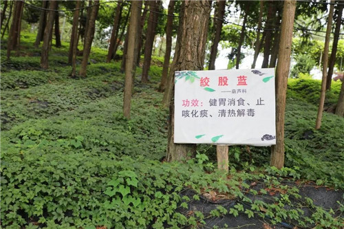 一组照片带你看安发生物从“田间到舌尖”的匠心品质