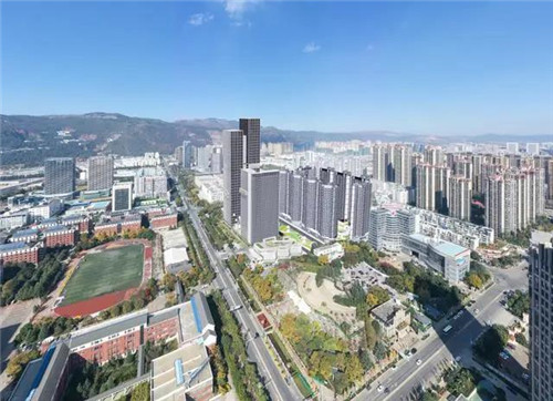 理想科技：世界直销百强企业助力推动云南茶叶国际化市场