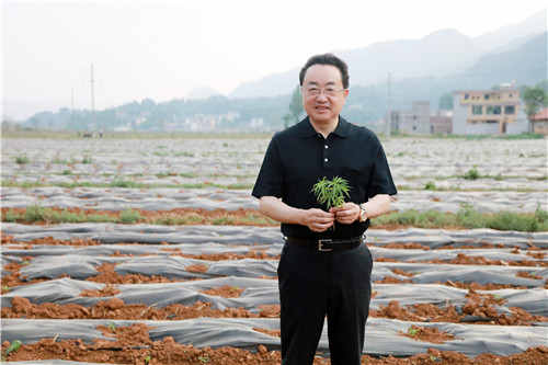 人大代表焦家良专项实地调研，编写了《关于加大昆明市工业大麻产业发展的建议》的议案