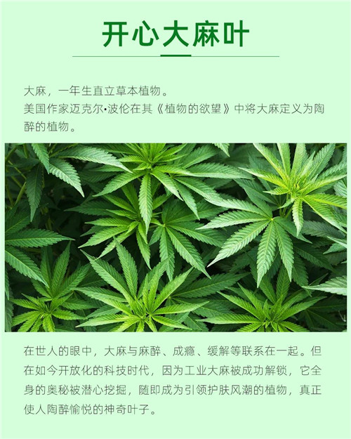 理想开心大麻叶悦颜保湿面膜最全介绍来了