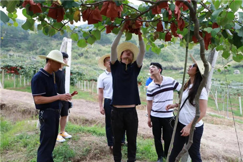 安发高益槐出席宁德举办的“创新创业逐梦前行”主题实践活动 