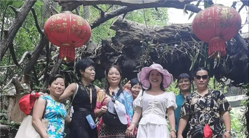 三八妇乐乐生系统“七彩云南”旅游研讨会精彩落幕