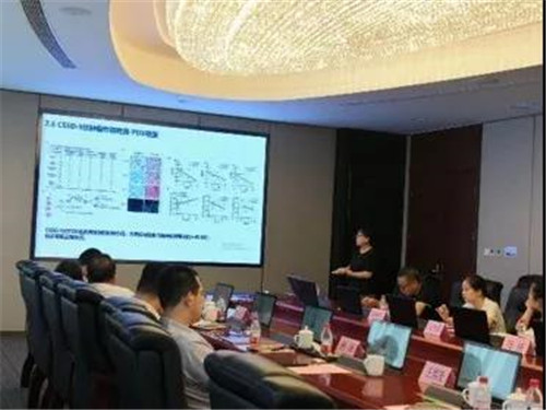 联合研究院与康婷生物深度交流对接